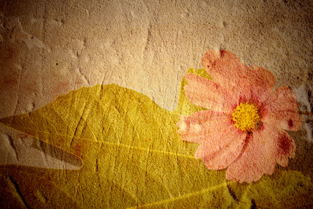 Beautiful grunge background with fig leaf and pink daisy