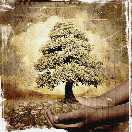 Hands of African child holding a tree in a meadow full of flowers, grunge vintage backgroundの写真素材