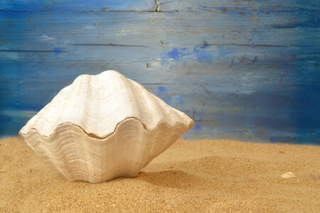 Summer holidays background seashell on the sand and wooden copy space for advertising