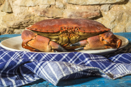 Boiled crab on rustic wooden background, sailor styleの写真素材