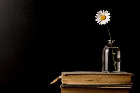 Vintage old books and daisy flowers on wooden table and dark background with copy space.の写真素材
