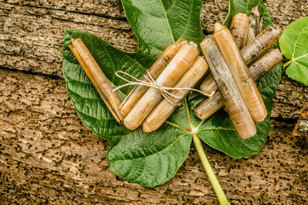 Raw razor shells on rustic wooden table.の写真素材
