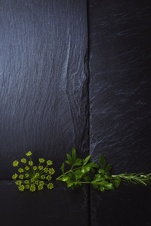 Fresh herbs, rosemary, parsley and parsley flower on dark stone slate, with blank space for design, vertical image.の写真素材