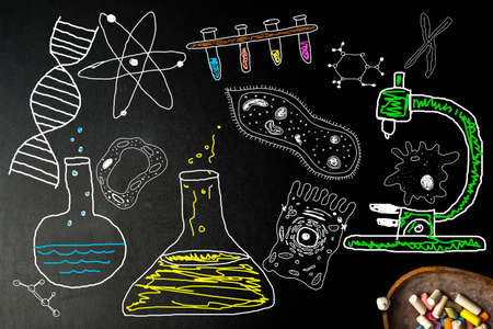 Biology sketches on school board. Fun hand drawn biology sketches on a black board and chalk.