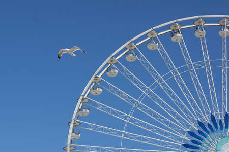 Ferris wheel seagull in Marseilleのeditorial素材