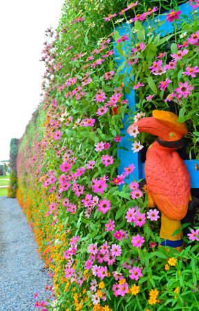 hornbill on flower wallの写真素材