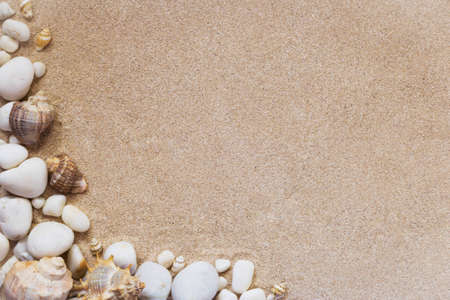 sea shells and stones with sand as backgroundの写真素材