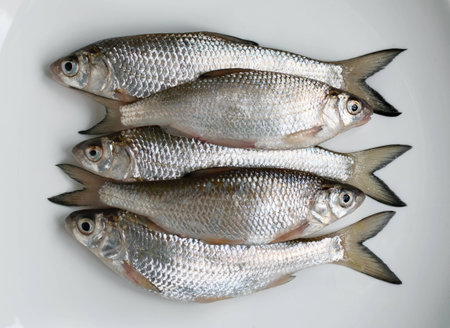 Fresh roach on a white plate on a wooden tableの写真素材