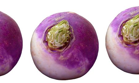 Turnipsの写真素材