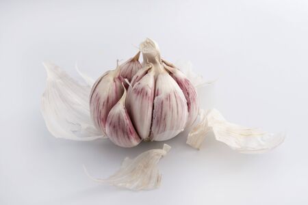 White and purple garlic head on a white backgroundの写真素材