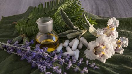 Plant-based preparation for self-healingの写真素材