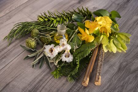 Bottle of essential oil with fresh plants and flowers