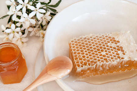 Honey and honeycomb on a white table with white flowersの写真素材