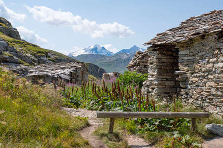 Mountain landscape with a ruin of an old house, flowers and glaciersの写真素材