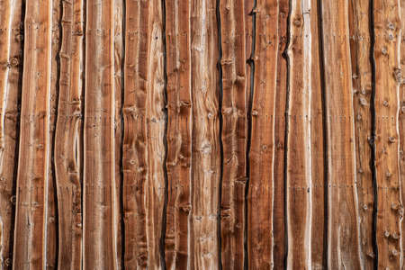 Wooden plank texture in brown pineの写真素材