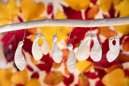 maple seed garland in autumn for decorationの写真素材