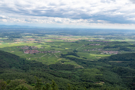 Aerial view of a village in Alsace, France with fieldsの写真素材