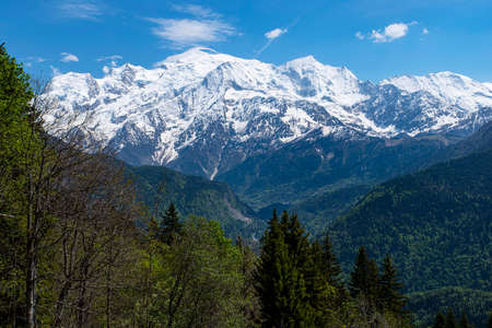 Mountain landscape with forest and Mont Blanc behindの写真素材