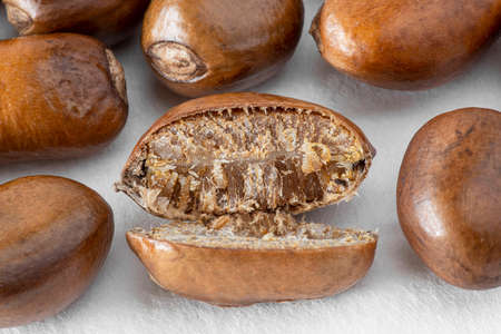 Close-up of pebe or monodora nut, the nutmeg of Gabon, a spice native to Africa
