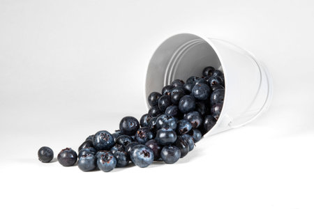 Close-up of fresh blueberries on a white backgroundの写真素材