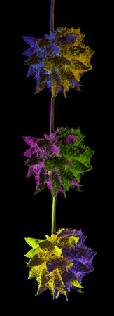 Cyberpunk gold disco style glycyrrhiza glabra seed garland with two-tone lighting on black backgroundの写真素材