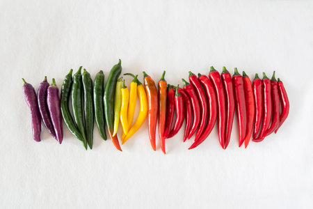 Close-up of different colored chilliesの写真素材