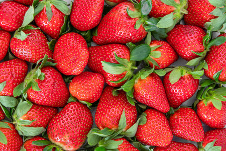 Texture of fresh red strawberriesの写真素材