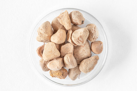 Baobab fruit in seed form used for foodの写真素材