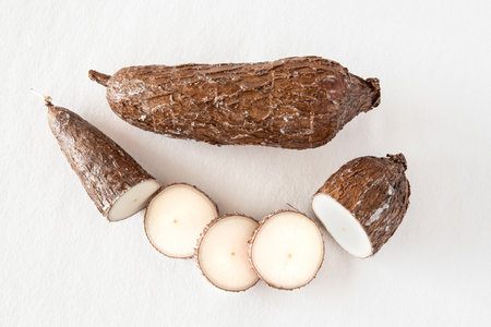 Close-up of a cassava root against a white backgroundの写真素材