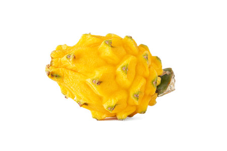 Close-up of yellow dragon fruit or pitayaの写真素材