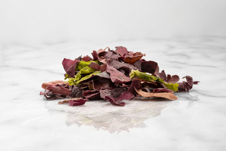 Close-up of dried and fresh edible seaweed for a mealの写真素材