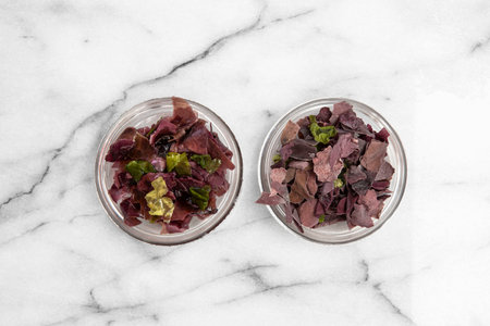 Close-up of dried and fresh edible seaweed for a mealの写真素材