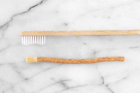 Siwak or miswak stick, tree root for ecological tooth brushingの写真素材