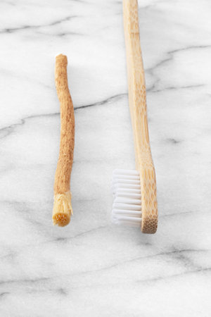 Siwak or miswak stick, tree root for ecological tooth brushingの写真素材