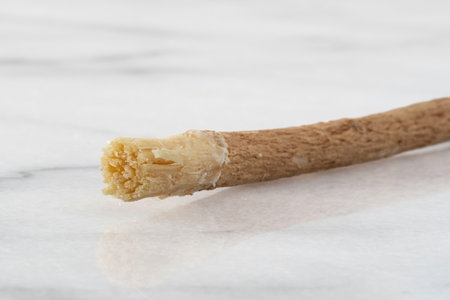 Siwak or miswak stick, tree root for ecological tooth brushingの写真素材