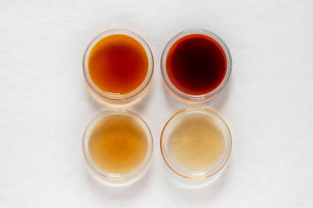 Different classes of maple syrups in different colors in glass dishesの写真素材
