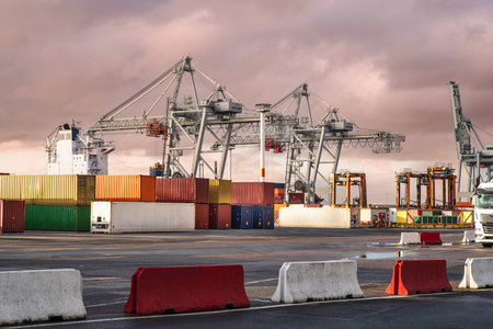 Unloading containers at a commercial port using cranes and trucksの写真素材