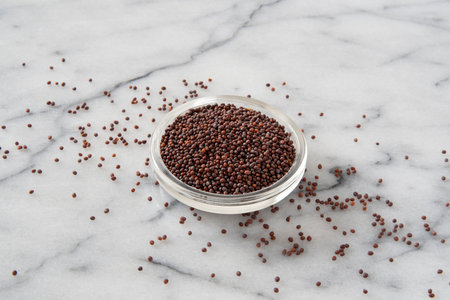 Close-up of brown mustard seedsの写真素材