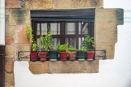 Aromatic plant on the windowsill of an old stone houseの写真素材