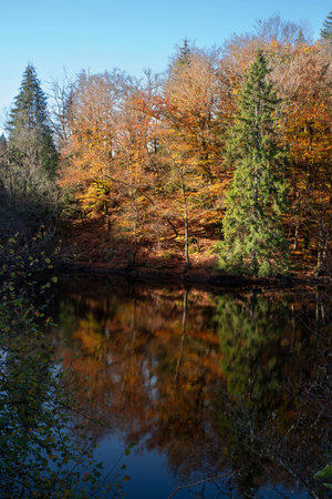 Landscape of trees and lake in autumn in Burgundy, France, under the sun, with a beautiful reflection in the waterの写真素材