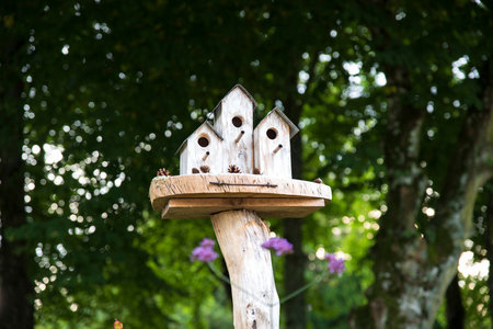 Wooden birdhouse hanging from a tree in a gardenの写真素材