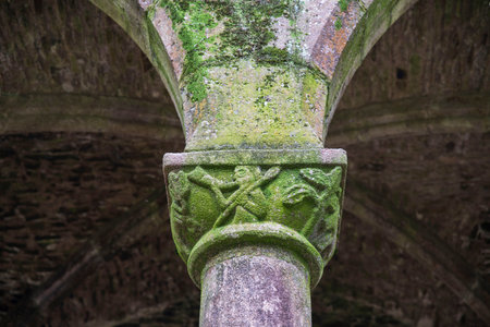 Hambye Abbey in Normandy, France, surrounded by natureの写真素材