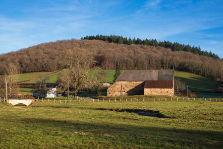 Burgundy landscape with farm, fields and treesの写真素材