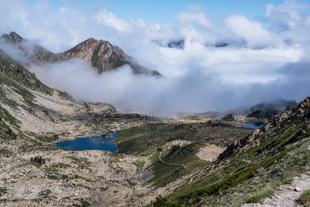 Mountain lake amid forests and green vegetation in summerの写真素材