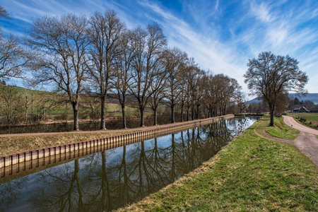 Burgundy canal in France in the middle of the countryside with trees reflecting on the waterの写真素材