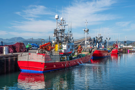 Fishing boat with a fish tank system to keep fish alive, in the port of Santona in Cantabria in...