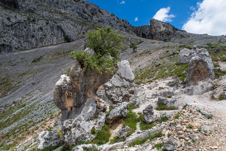 Mountain landscape in the Cares gorge in Spain, with its rocky cliffs and vegetationの写真素材