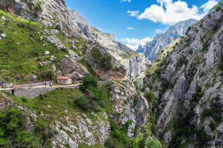 Close-up of a footpath in Spainの写真素材