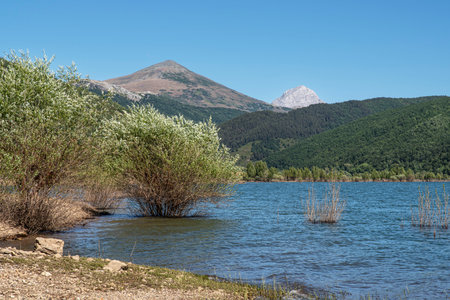 Mountain lake at Riano in Spain in the Picos de Europa Parkの写真素材