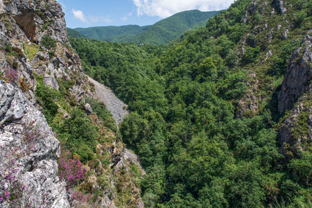 Typical landscape of the Picos de Europa National Park in Spain in summer with beautiful vegetationの写真素材